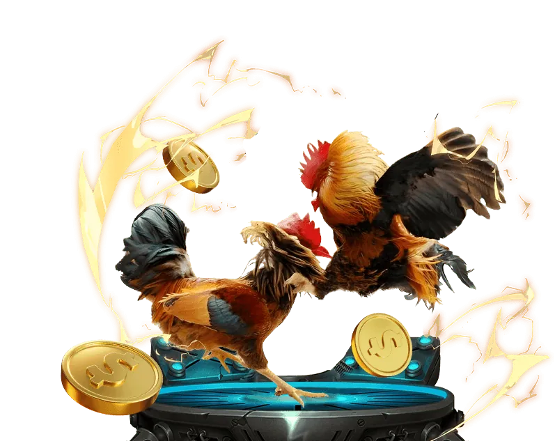 Hướng dẫn lựa chọn nhà cái phù hợp với bạn